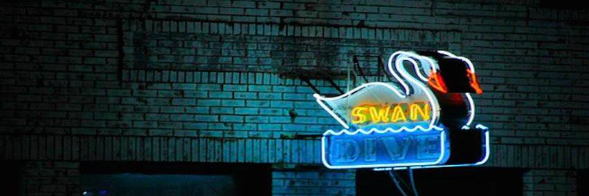 swandiveaustin's profile banner image