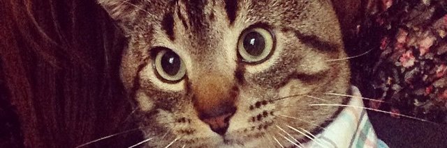 whatglasses's profile banner image