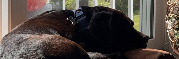 jonfranks Profile Banner