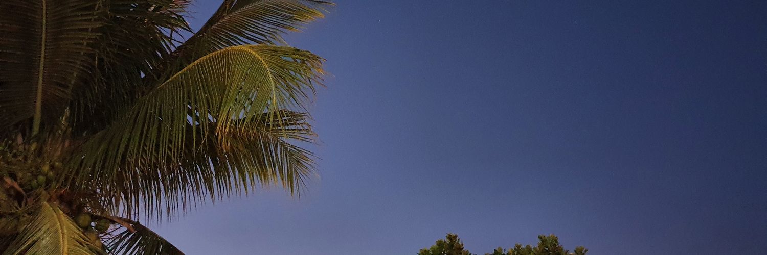 wingwmc's profile banner image