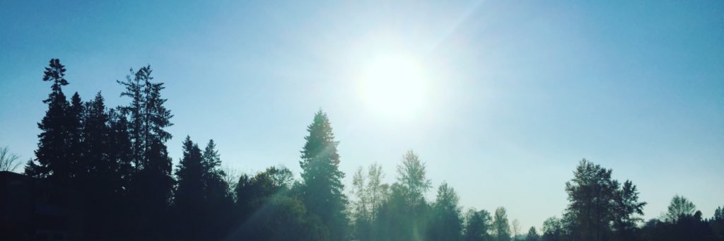 MeaganEngh's profile banner image