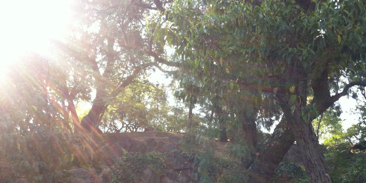 EddyWallsC's profile banner image
