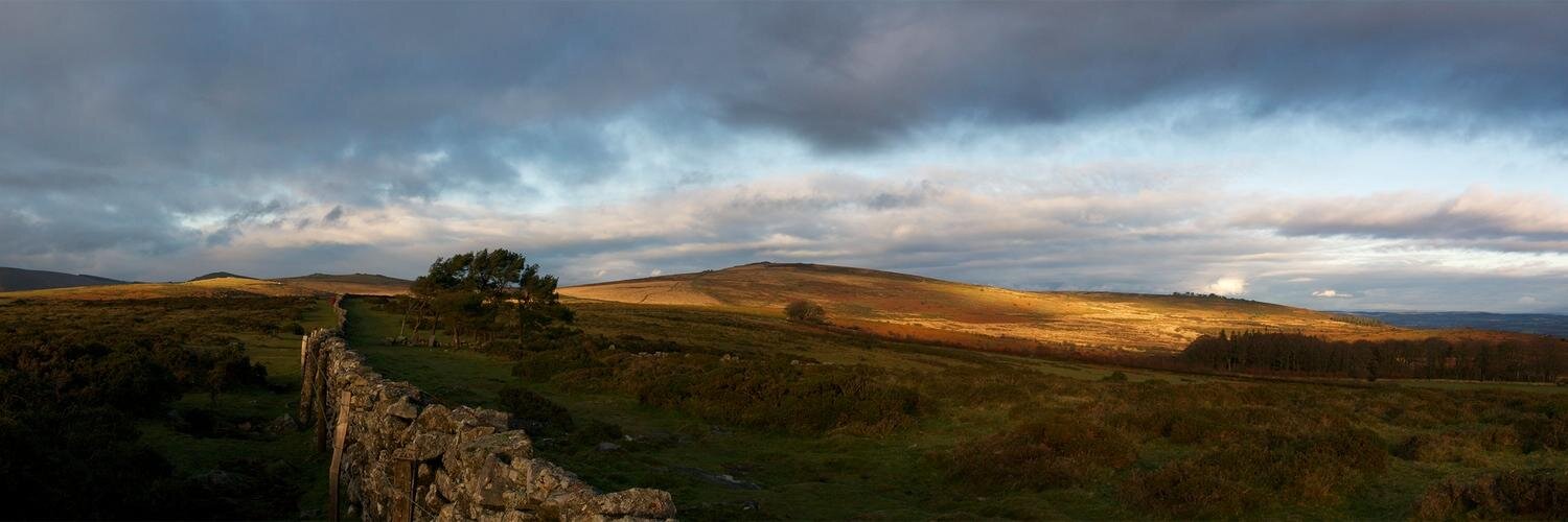 Harry Jordan banner