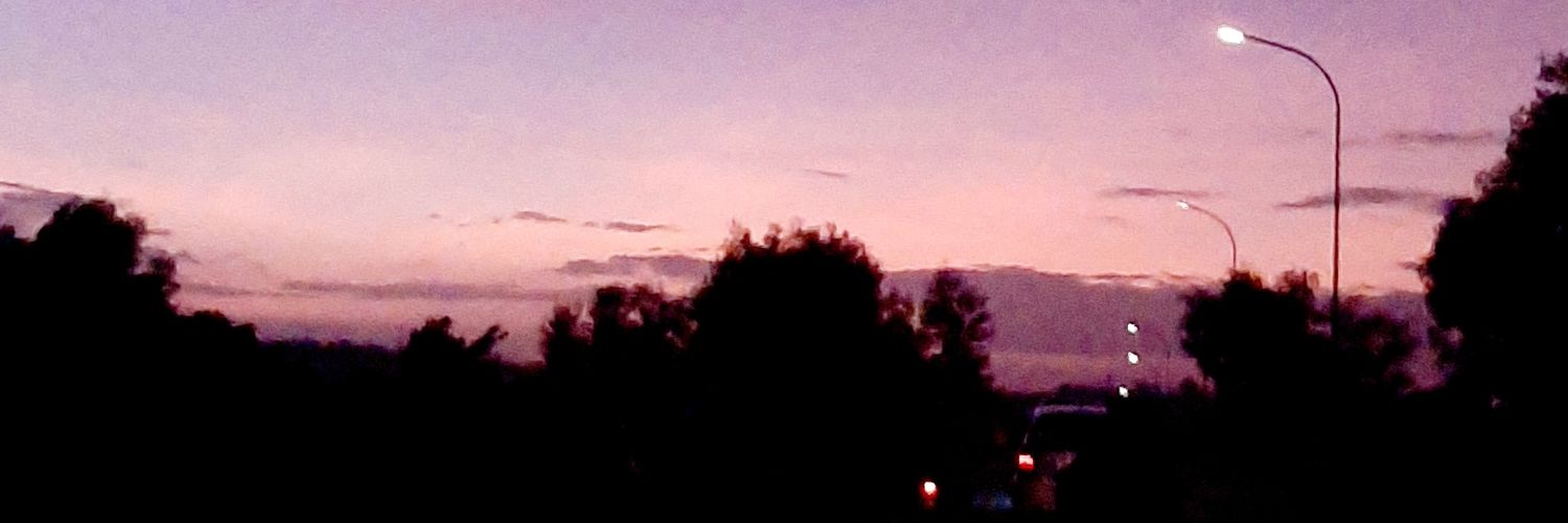 dmsalfnr's profile banner image