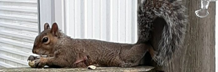 kpipa's profile banner image