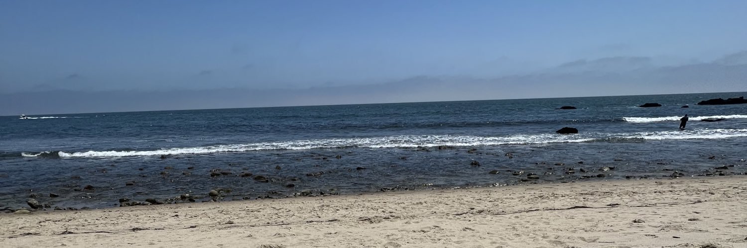 Ray_Dubb's profile banner image