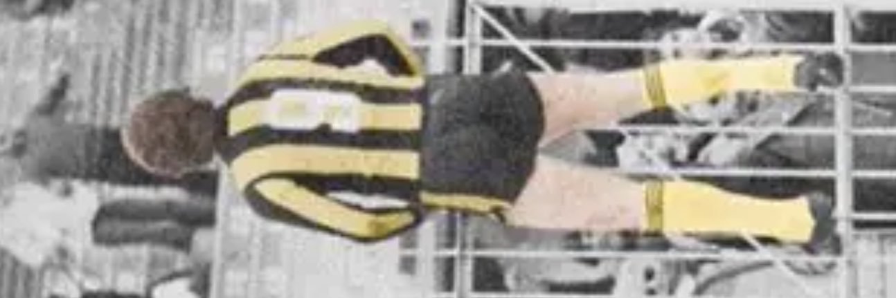 DanyCardozoG's profile banner image