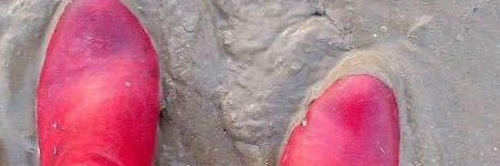 Ursula van Duin banner