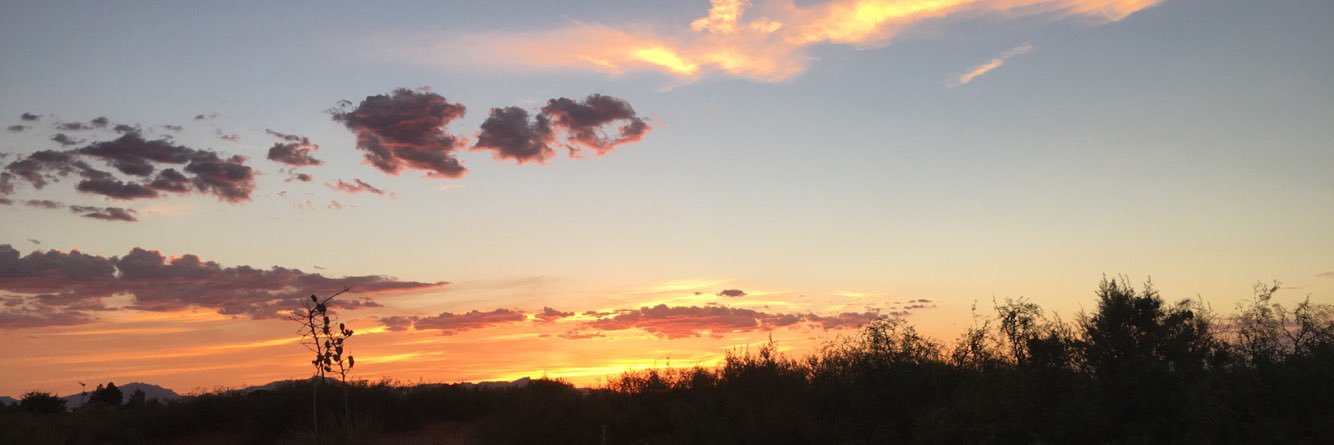LNicolee__'s profile banner image