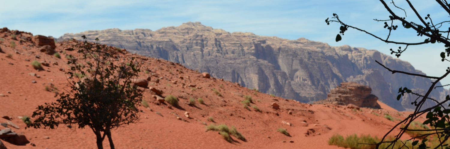 DPaulMoses's profile banner image