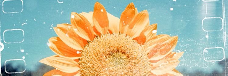 RawabiKu's profile banner image