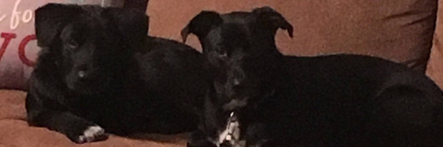 Becky_B10_4's profile banner image