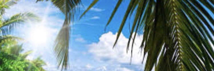 ranemsaleh's profile banner image