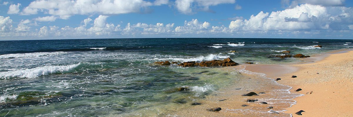 bearin21's profile banner image