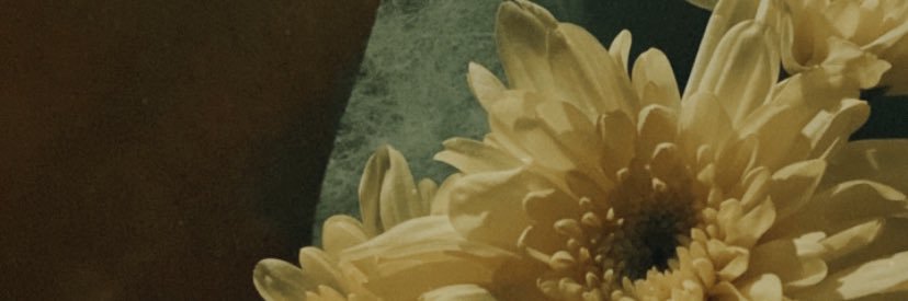 beurrebutt's profile banner image