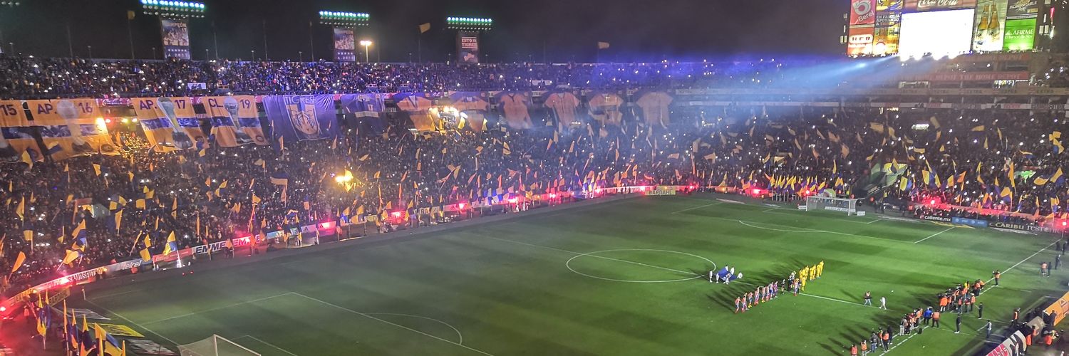 JORGE DONATELLO 🐢 banner