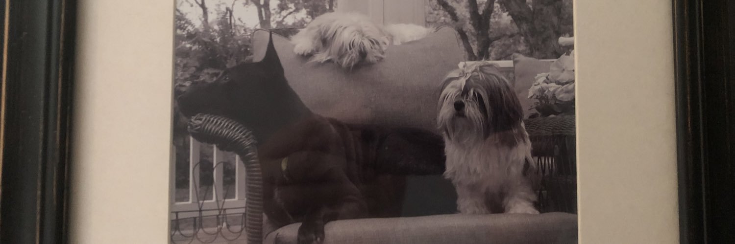 Trippn68's profile banner image