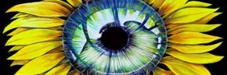 CuriousLiberty's profile banner image