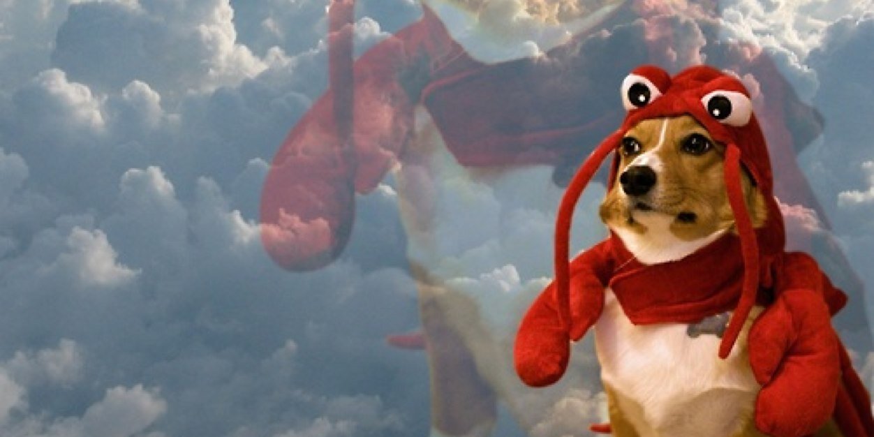mike_webm's profile banner image