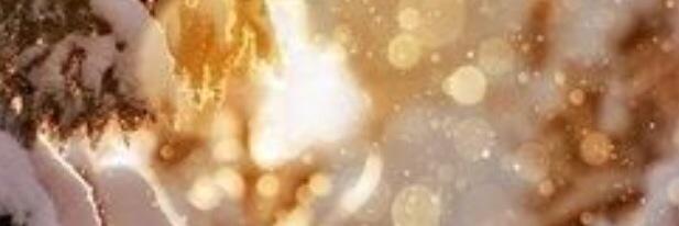 alannahmaay's profile banner image