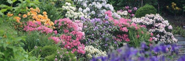 knut g. berdal banner