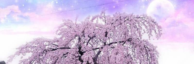 AkilaBlacGenius's profile banner image