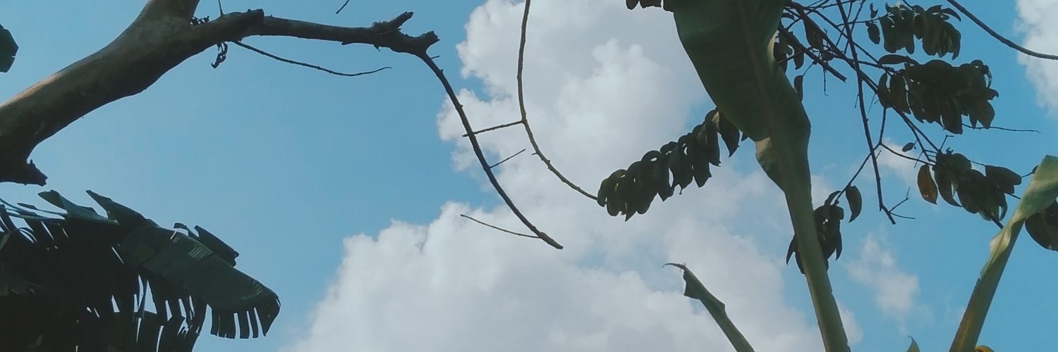 batagorcrispy's profile banner image
