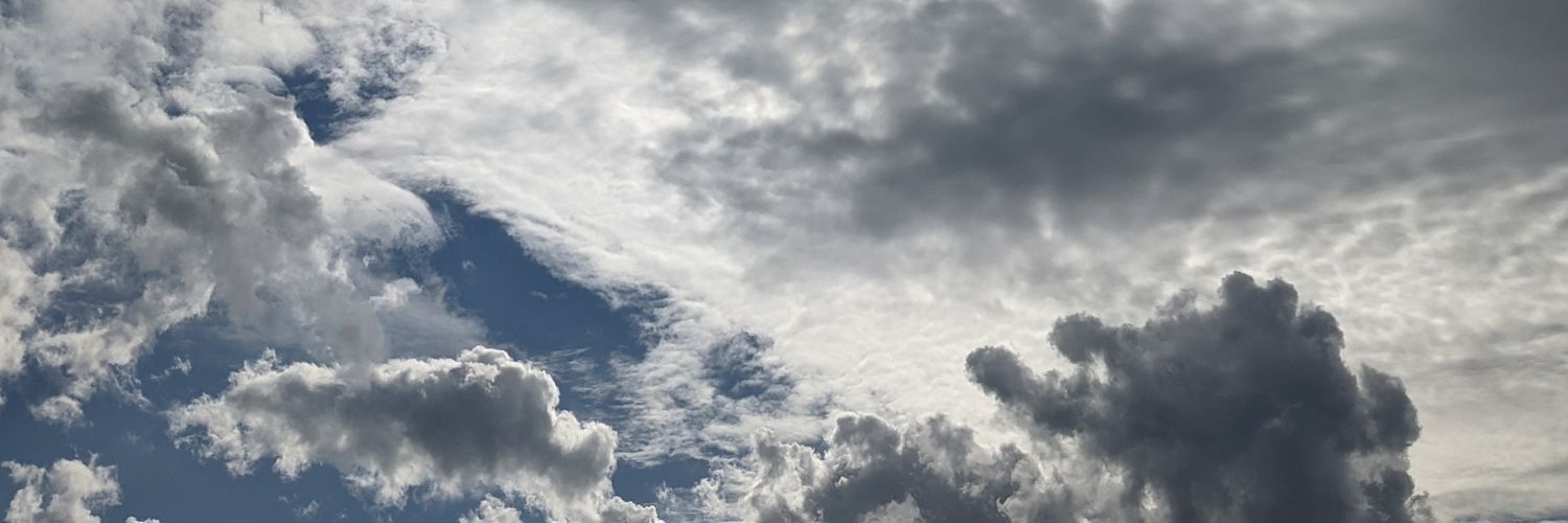 Leonardo Grasso banner