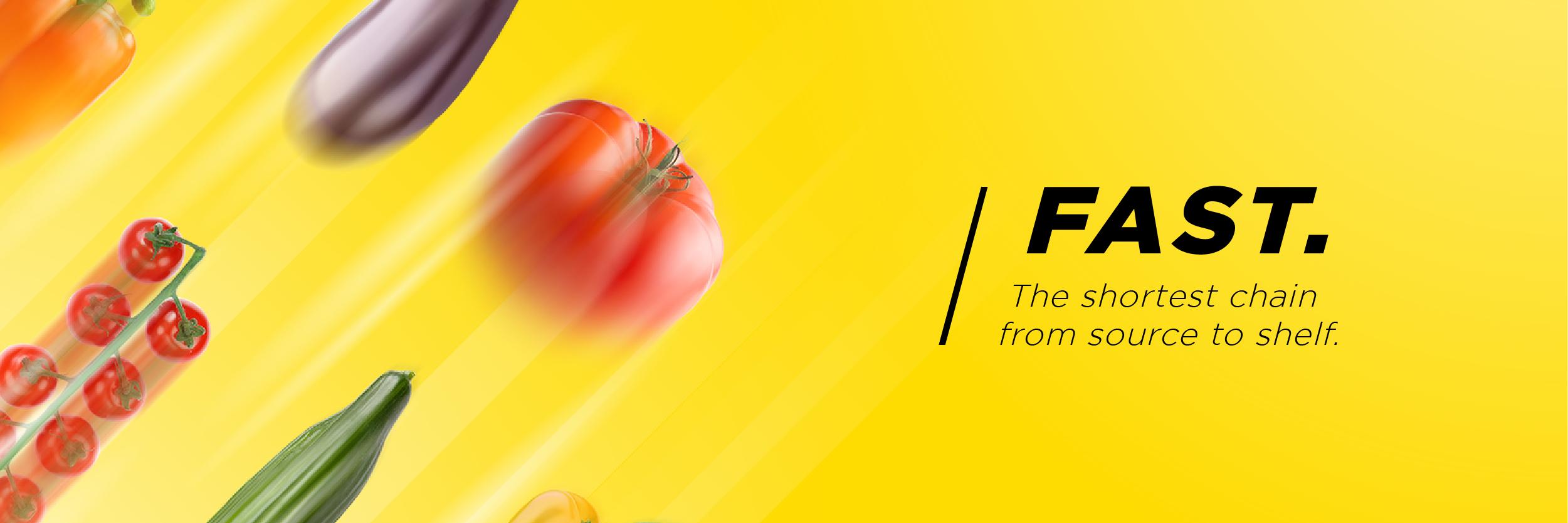 NJWitkamp's profile banner image