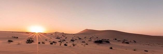 Amer_Alomar's profile banner image