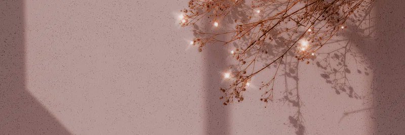 RIRI VIO ANIMADO A MOUNTAIN TIM. banner