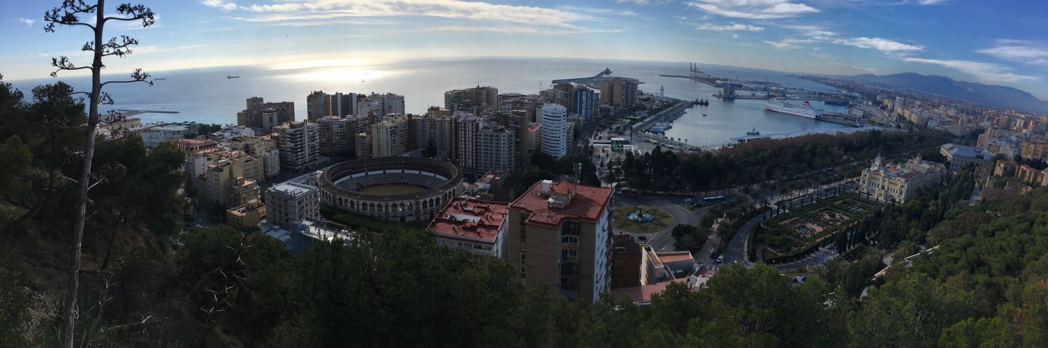 David Mrnustik banner