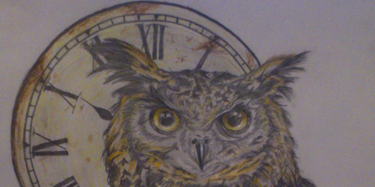 PaddyPacker's profile banner image