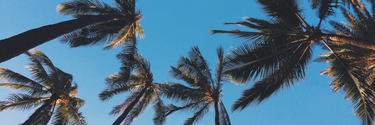 piperezhidalgo's profile banner image