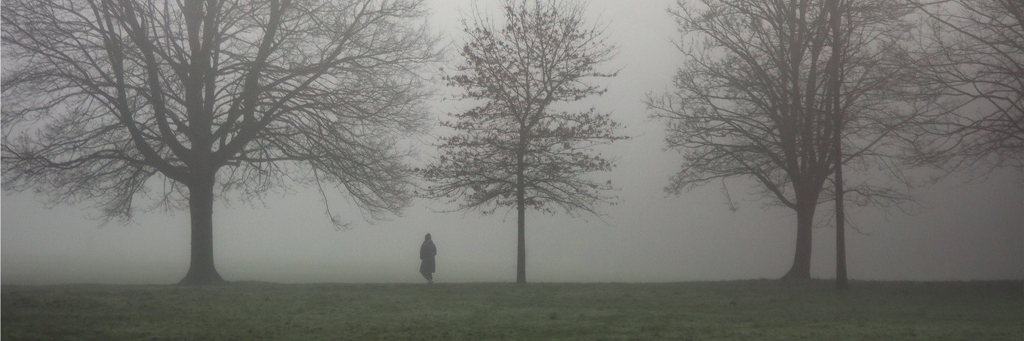 Calum Carpenter banner