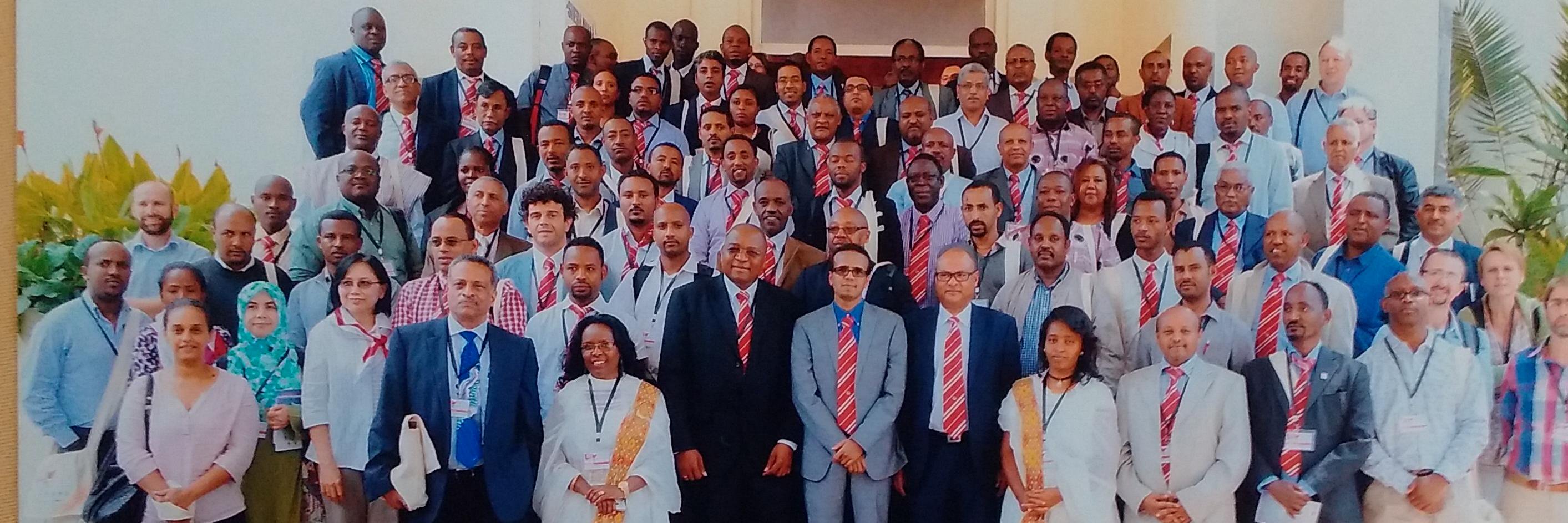 INDEPTH Network (official) banner