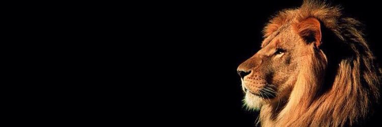 Jenn9877's profile banner image