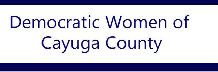 DWCayugaCounty's profile banner image