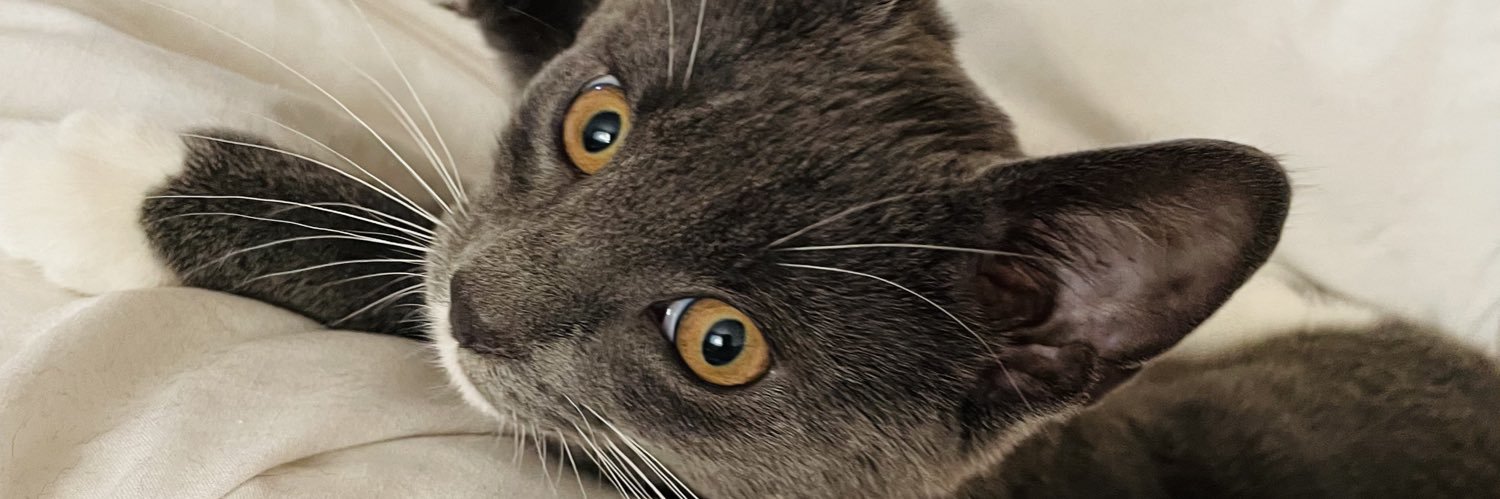 LisaNic70's profile banner image