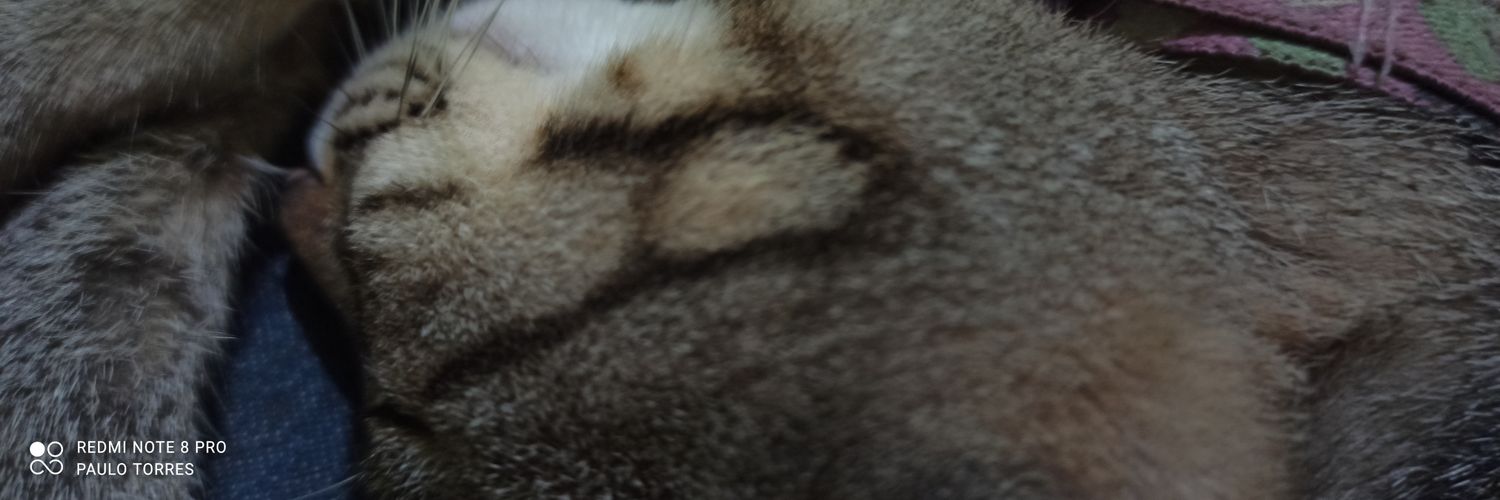 pluckmp's profile banner image
