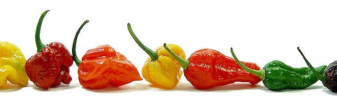 Stephen / RiojaPlease Same handle on Bluesky banner