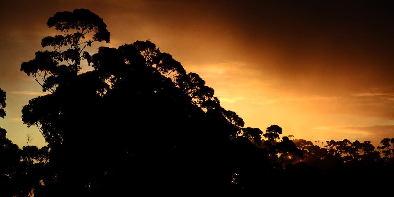 philjohnphoto's profile banner image