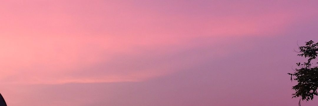 🌷 banner