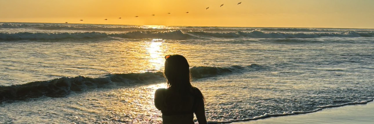 daaniaboo's profile banner image