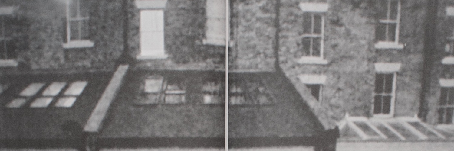 Eleonora Calvelli banner
