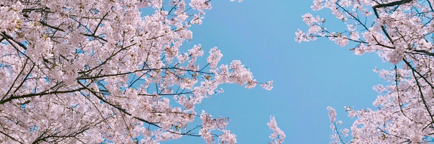 ตกตา banner