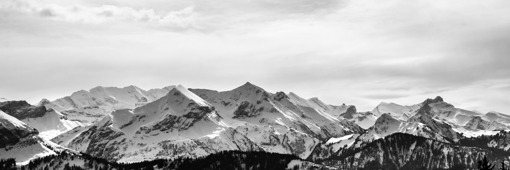 MissHBD's profile banner image