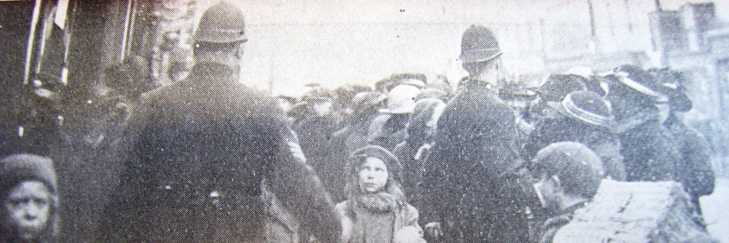 Mary Fraser banner