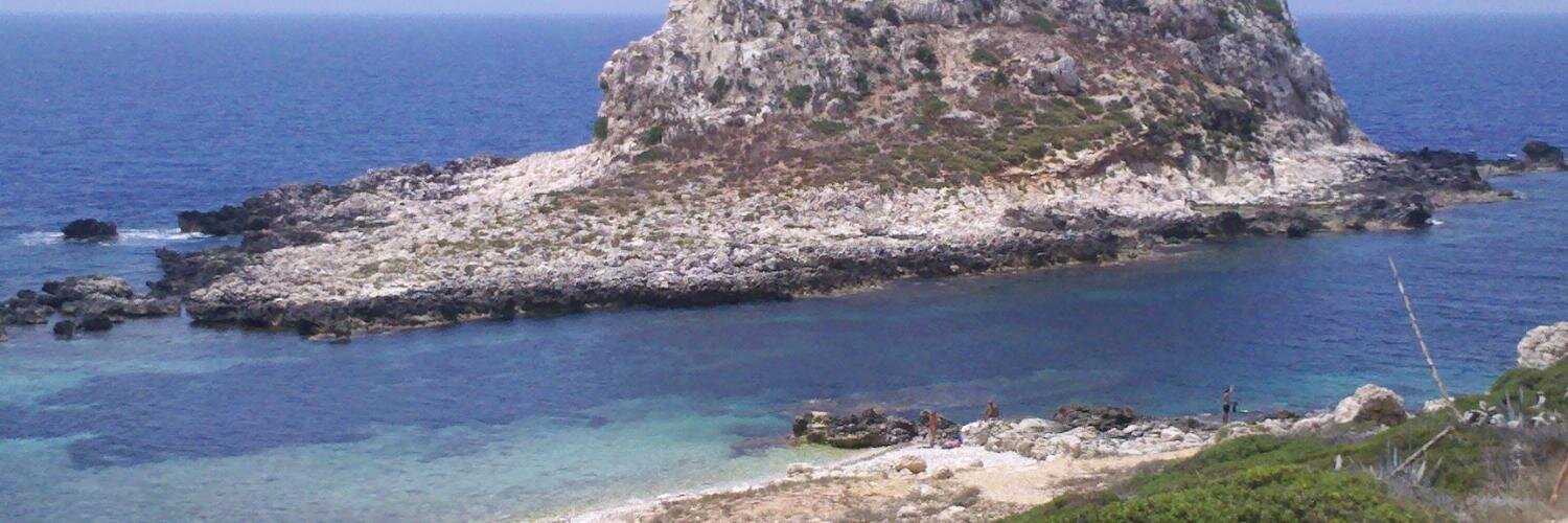 Serena Torielli banner