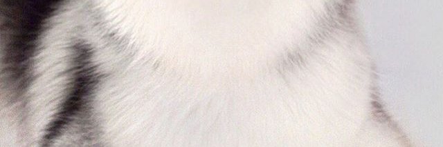 webgemini97's profile banner image